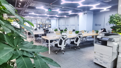 Shenzhen Bitvisus Technology Limited